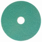 Twister - Bright 'n Water Cleaning pad, green 13" (2 stuks)